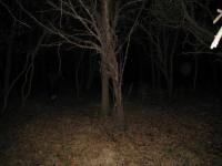 Chicago Ghost Hunters Group investigates Robinson Woods (236).JPG